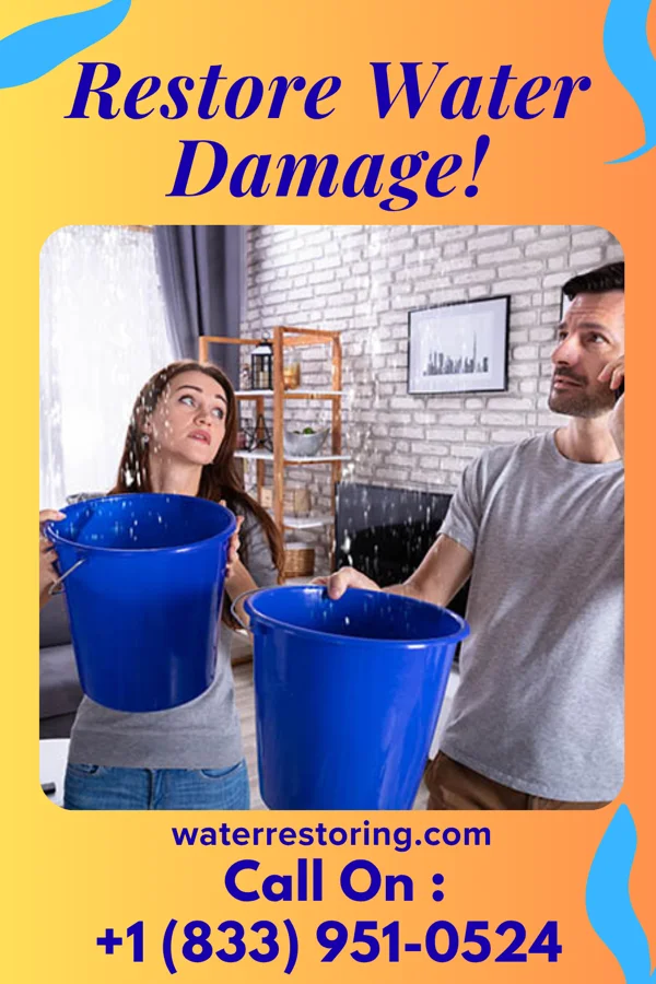 water restoration Sentinel Extraction Inc Fairless Hills